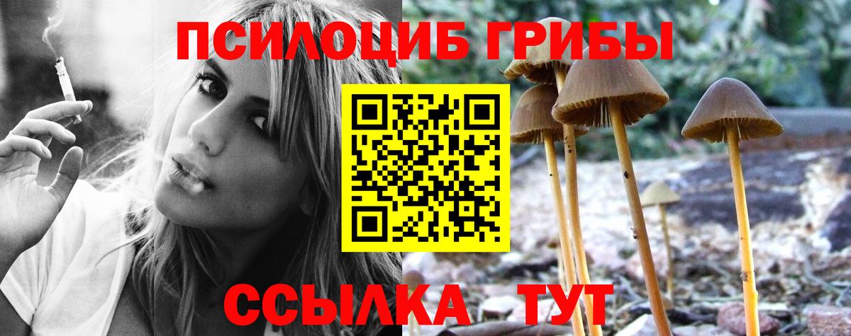 Псилоцибиновые грибы прущие грибы  Вход с VPN  Богданович 